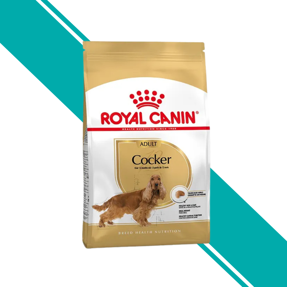 Royal Canin Adult Cocker Spaniel Dry Food